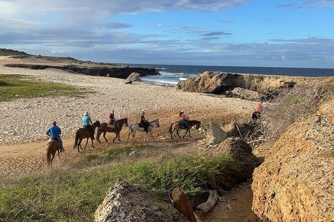2-Hour Horseback Riding Tour to Little Natural Bridge in Aruba - Price and value: what $116 buys you