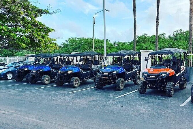 6 Seater Utv Rental Aruba - Key Highlights at a Glance