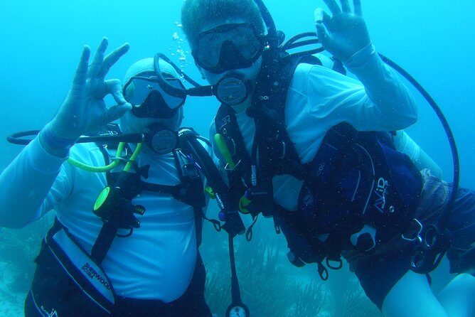 Aruba 1-Tank guided Dive for certified divers with own equipment - Underwater Plan: Reefs and Wreck Areas With Actual Guidance