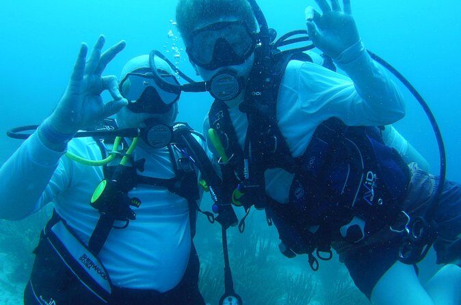 Aruba 1-Tank guided Dive for certified divers with own equipment - Boat Days on the Drumfish: A Small-Craft Feel