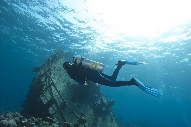 Aruba 2-Tank Dive Excursion for Certified Divers - Getting there from the port or your hotel without stress