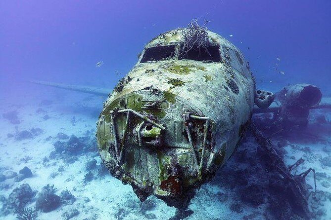 Aruba 2-Tank guided Dive for certified divers / own equipment - Gear Rules: Your Equipment, Your Comfort, Less Stress Underwater