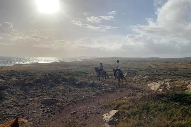 Aruba 2,5 hrs Horseback Riding For Advanced Riders - Small group size: why max five makes the ride better