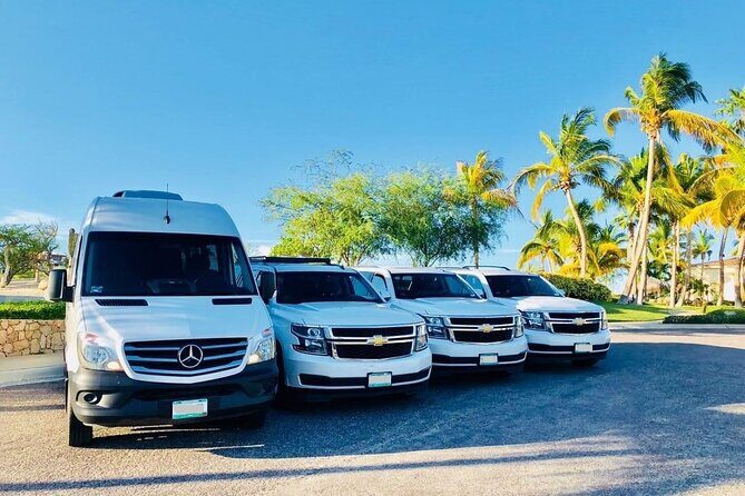 Aruba Airport (AUA) to Aruba island - Arrival Private Transfer - Vehicle Comfort for Up to 8 Passengers