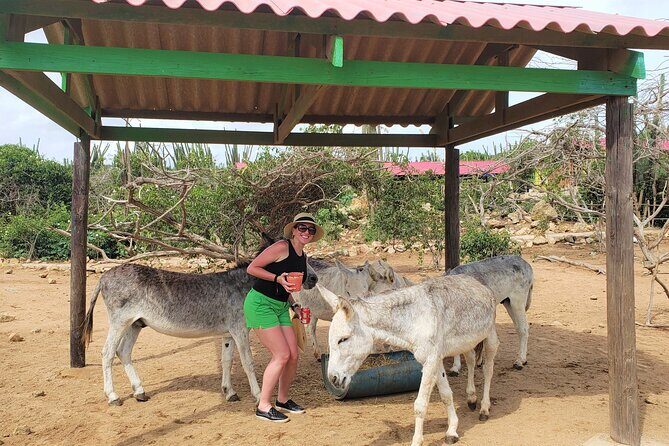 Aruba Baby Beach Express Tour - Price and Value: Is $55 Worth It?