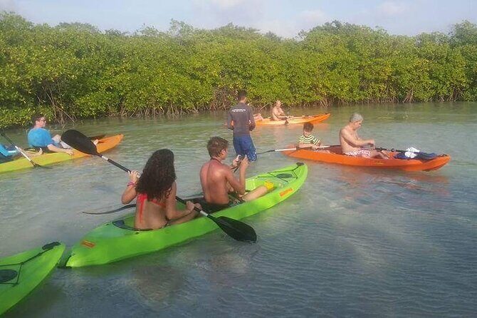 Aruba Glass Bottom Kayak Tour through the Mangrove Forest - Mangel Halto start: the calm, quiet part of Aruba