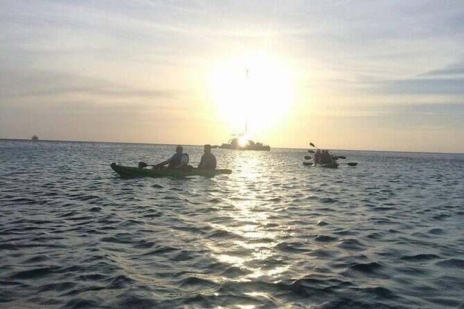 Aruba Glass Bottom Kayak Tour through the Mangrove Forest - Who should book this and who should skip it