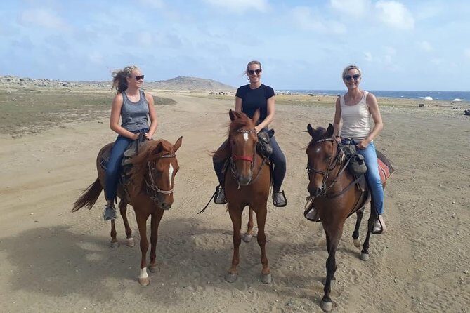 Aruba Horseback Riding Tour For Advanced Riders - Key things I’d prioritize before you book