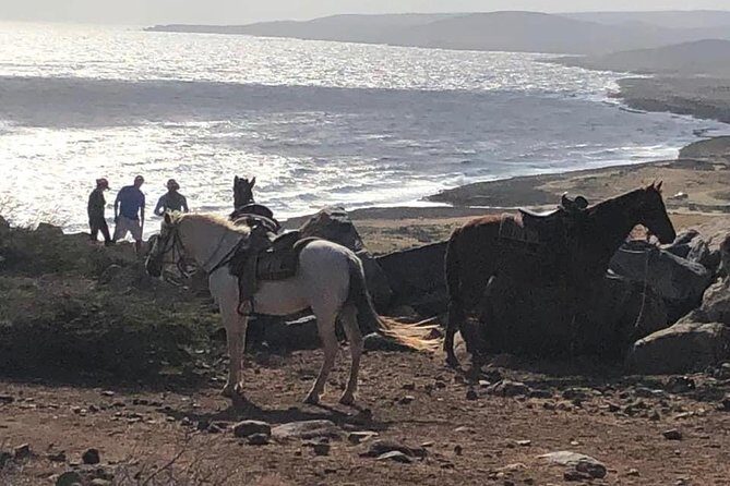 Aruba Horseback Riding Tour For Advanced Riders - What happens on the ride: the 2-hour flow you can expect