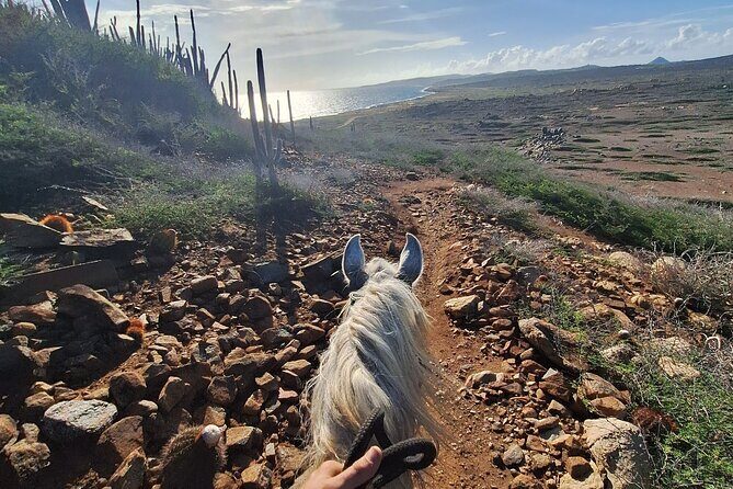 Aruba Horseback Riding Tour to Hidden Lagoon - Getting to Rancho Notorious Aruba: pickup and the tight 1-hour rhythm