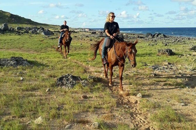 Aruba Horseback Riding Tour to Hidden Lagoon - Safety, pace, and horse-handling: what the experience is really like