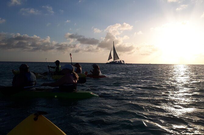 Aruba Night Glass Kayak Tour - The guides and the small-group advantage on this Aruba kayak tour