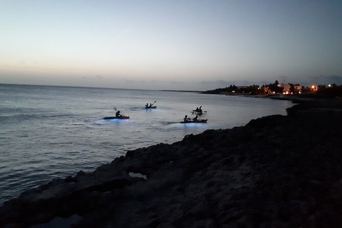 Aruba Night Glass Kayak Tour - LED-lit coral viewing: how well it really works