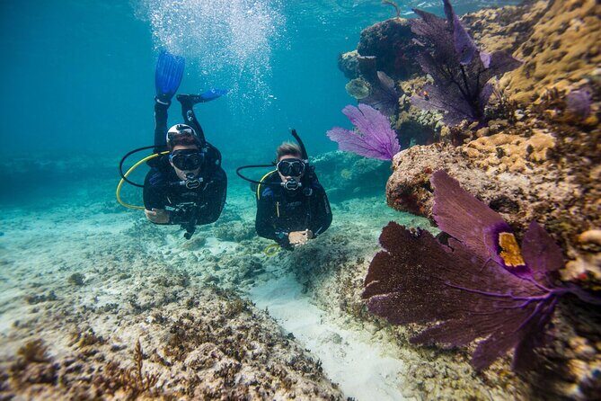 Aruba One or Two Tank Scuba Dive - What you actually do onboard: a real pre-water safety rhythm