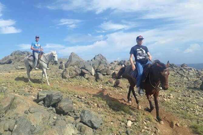 Aruba Private, 2 Hour Horseback Riding Tour For Advanced Riders - Price and value: what $285 buys you on a private advanced ride