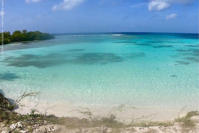 Aruba Snorkeling Tour: Mangel Halto and Baby Beach - Guides who stay close: safety first, fun always