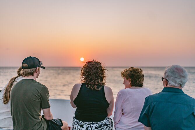 Aruba Sunset Sail Dinner Cruise with Open Bar by Catamaran - Who should book this cruise (and who might skip it)