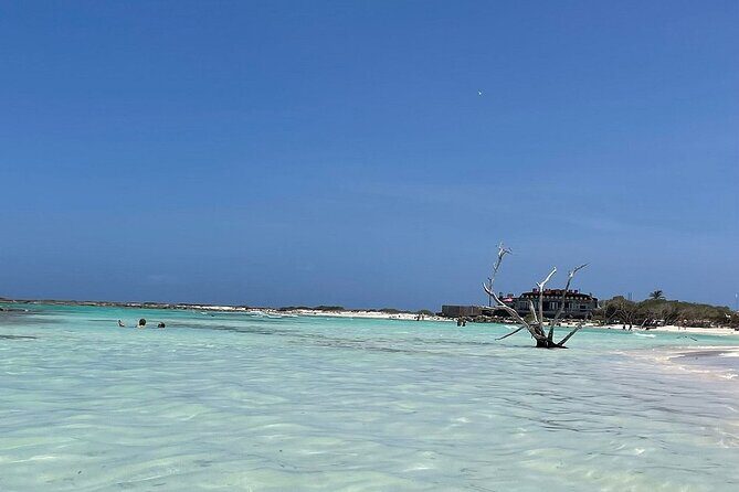 Aruban Local Lunch and Baby Beach Snorkeling - Baby Beach Snorkeling: Gear, Timing, and What to Expect