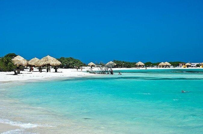 Baby Beach Day Roundtrip - Who this tour suits best (and who should consider alternatives)