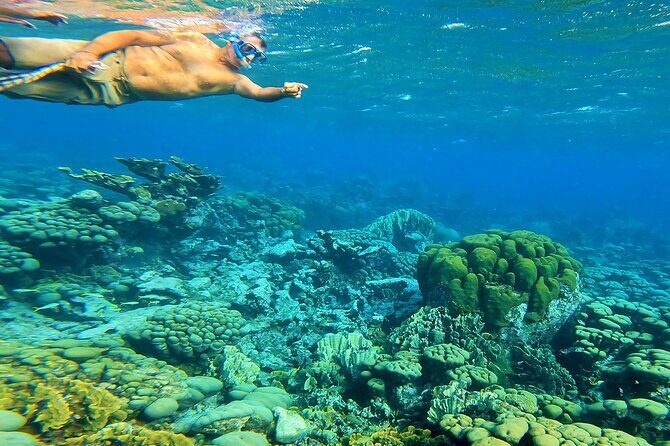 Blue Parrot Snorkel Sail with 4 course lunch or dinner in Aruba - Getting on board: Varadero Marina and a smooth 4-hour flow