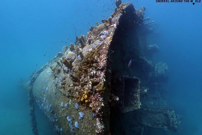Boat Dive Shipwreck/ Airplanes/ Reef /2 tanks - Where You Meet in Savaneta and How Pickup Fits In