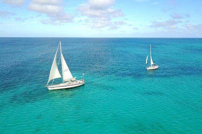 Coral Sunset Sail with 3 Course Dinner in Aruba - 3-Course Dinner and Premium Open Bar: When Food Fits the Mood