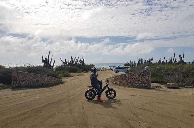 Ebike Rentals in Aruba - Price and Value: Is $55 a Good Deal?