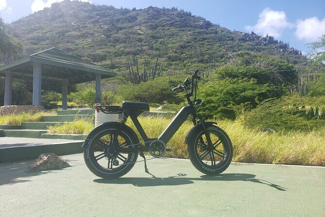 Ebike Rentals in Aruba - A Real-World Caution: The Pickup Problem You Should Not Ignore