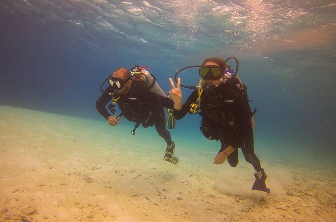 Guided Padi Discover Scuba Diving for Non-Certified Divers - Price and Value: Is $120 Worth It?