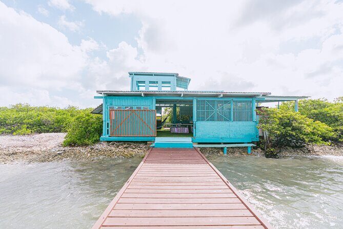 Half‑Day Private Snorkel & Mangrove Experience — Local Host - Key highlights to know before you go