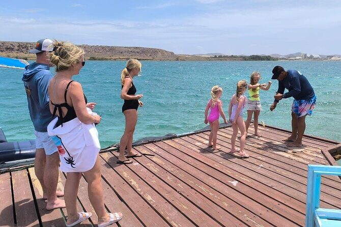 Half‑Day Private Snorkel & Mangrove Experience — Local Host - Private group of up to 6: why that time feels efficient