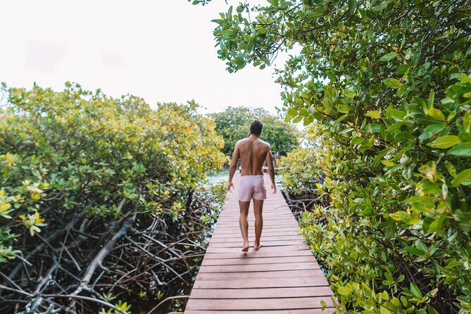 Half‑Day Private Snorkel & Mangrove Experience — Local Host - Nos Isla mangroves: snorkel, paddle-board, and float in nature