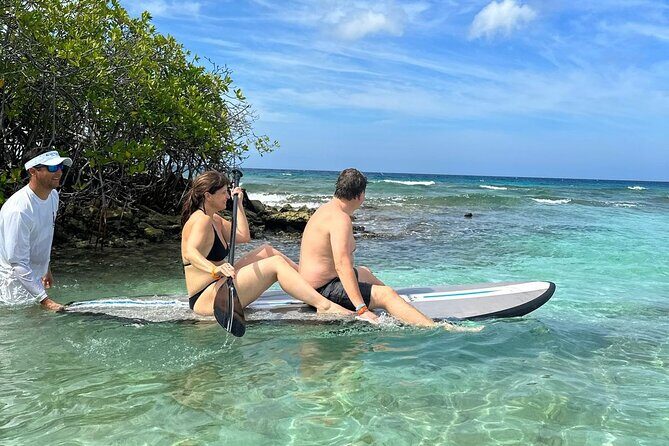 Half‑Day Private Snorkel & Mangrove Experience — Local Host - Price and value: $1,140 per group for up to 6