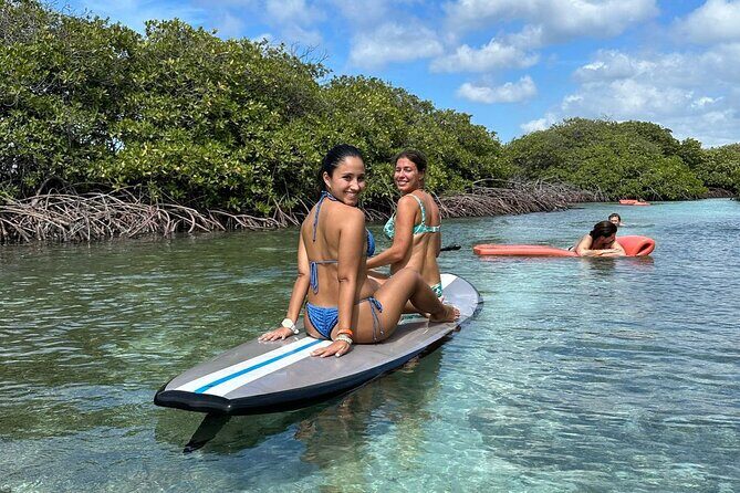 Half‑Day Private Snorkel & Mangrove Experience — Local Host - Stop 1: Mangel Halto Beach and reef time with an Aruba Ariba break