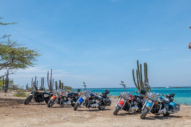 Harley-Davidson RENTALS ONLY 4 hrs - Key Things to Know Before You Ride