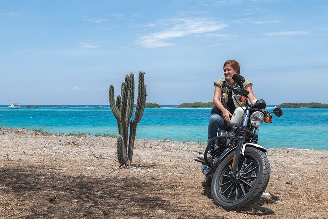 Harley-Davidson RENTALS ONLY 4 hrs - Your Half-Day Route at Your Pace: Coast, Town Roads, and Freedom