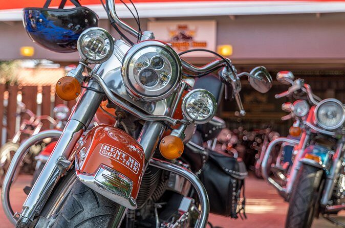 Harley-Davidson RENTALS ONLY 8 hrs - Arikok National Park: when you want effort, not just easy sightseeing