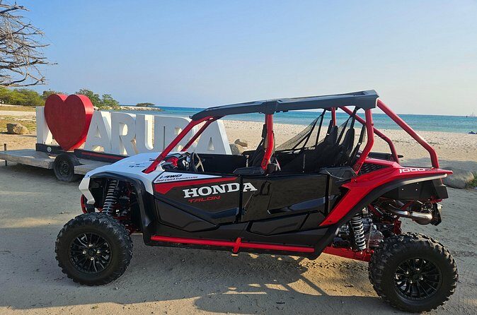 Honda Talon 4 Seater Rental - Donkey Sanctuary Stop: A Slower Moment in a Fast-Moving Day