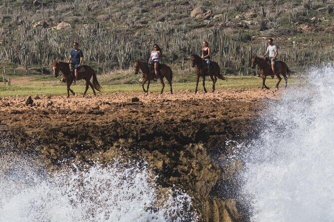 Horseback Riding Wariruri Beach Tour in Aruba - Where you start at Paradera Nuñe and how pickup shapes the morning