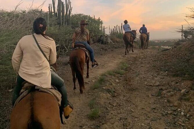 Horseback Riding Wariruri Beach Tour in Aruba - Wariruri Bay to the north coast: the ride you can actually enjoy