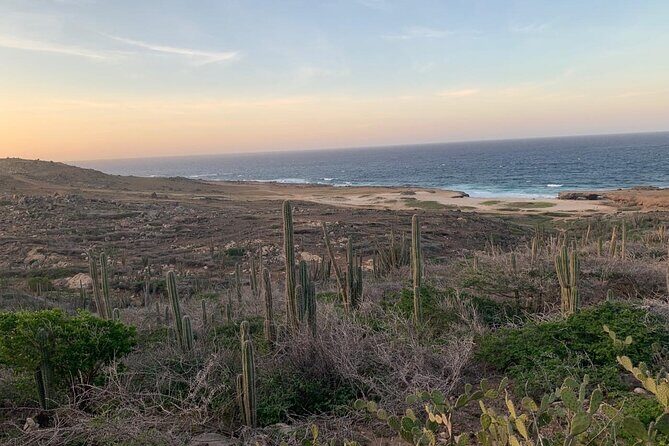 Horseback Riding Wariruri Beach Tour in Aruba - Wariruri Mini Natural Bridge stop: what you’ll see and why it matters