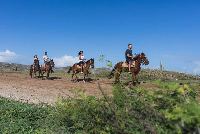 Horseback Riding Wariruri Beach Tour in Aruba - Small-group feel: 12 riders or fewer changes the whole experience