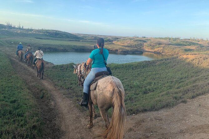 Horseback Riding Wariruri Beach Tour in Aruba - Duration and timing: what 1.5 hours really feels like