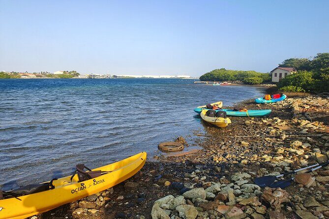 Kayak Tour to Seaglass Island - The Savaneta Coast Segment: Houses, History, and Ocean Talk