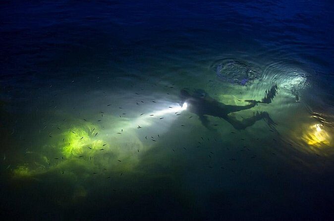 Night Shore Diving Mangel Halto Aruba for Certified Divers - Timing that actually works: 2 hours, 1 tank, and a 7:00 pm start
