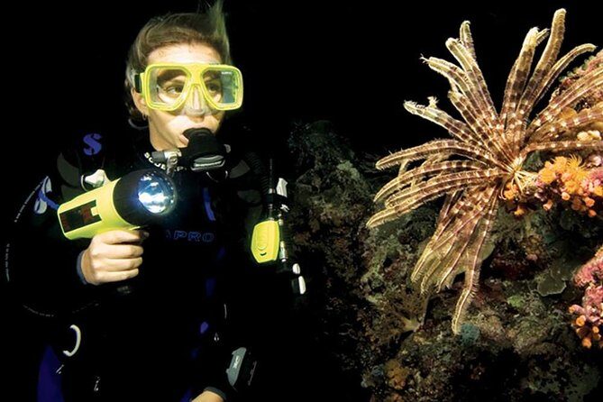 Night Shore Diving Mangel Halto Aruba for Certified Divers - Getting ready at Nautilus: gear fitting, restrooms, and a real briefing