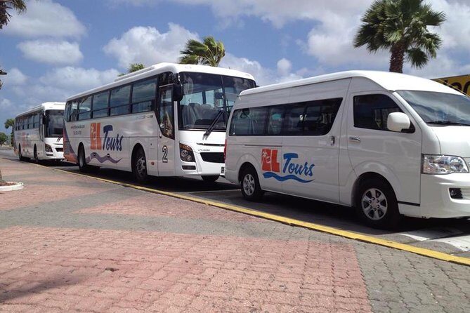 One Way Private Airport Transfer - Key things I’d watch for (and enjoy) about this transfer
