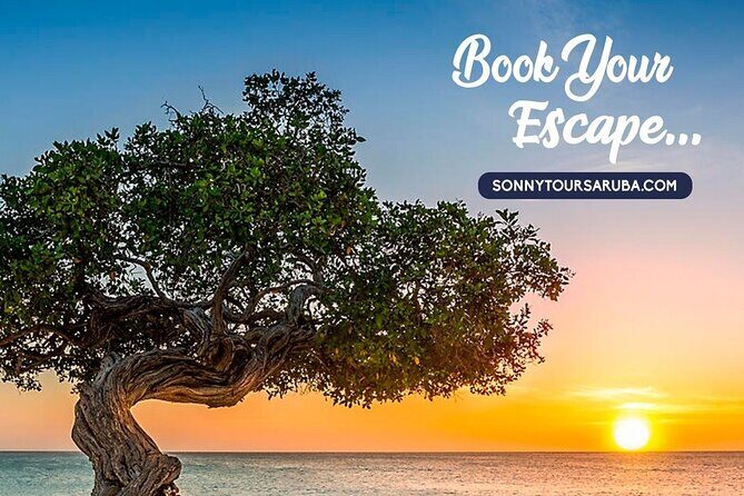 Private Aruba roundtrip airport transfer - Meeting Your Driver at Queen Beatrix (AUA) Without Wandering