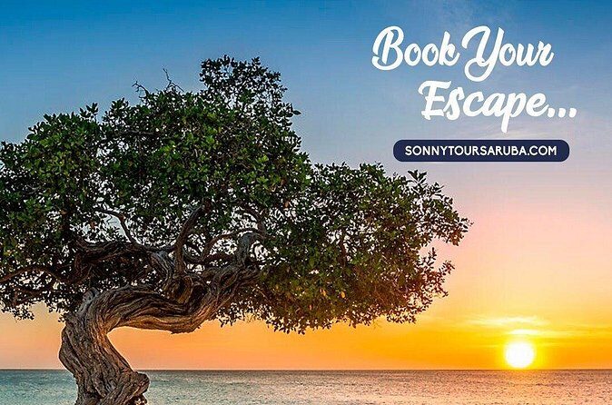 Private Aruba roundtrip airport transfer - Who Should Book This Transfer (And Who Might Skip It)