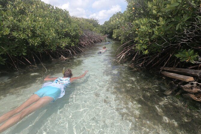 Private Boat Tour in Aruba - Stop 1: Mangel Halto Beach lagoon time (calm water, reef color)